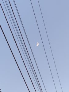 Telephone wires and the moon